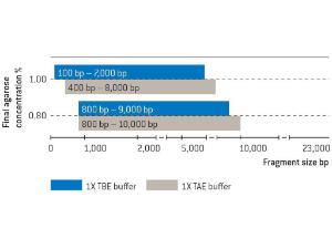 SeaKem GTG agarose 125g