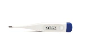 Digital Thermometer Kit