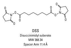 DSS (Disuccinimidyl suberate), Pierce™