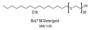 Pierce™ Surfact-Amps™ Detergent Solutions, Thermo Scientific