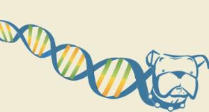 Polymerase/buffer taqdog hot start