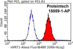 Anti-HPRT1 Rabbit Polyclonal Antibody