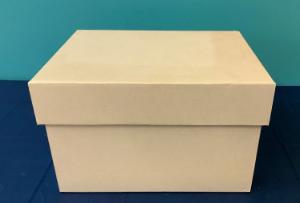 Tote box, cardboard, with lid