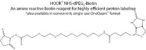 HOOK™ Amine Reactive Biotin Reagents & Kits for Highly Efficient Protein Labeling, G-Biosciences