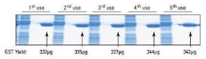 Pierce™ Glutathione Spin Columns, Thermo Scientific