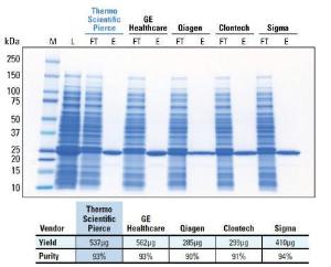 Pierce™ Glutathione Spin Columns, Thermo Scientific