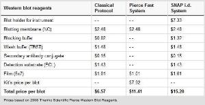 Pierce™ Fast Western Blot Kit, ECL Substrate, Thermo Scientific