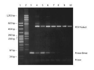 NuSieve® 3:1 agarose