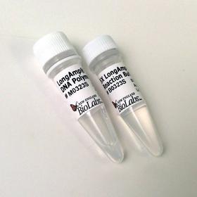 LongAmp Taq DNA Polymerase - 500 units