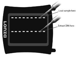 FlashGel® Recovery buffer