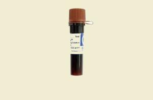 MIDORI Green Direct Nucleic Acid Staining Solution, Bulldog-bio