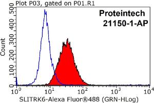 Anti-SLITRK6 Rabbit Polyclonal Antibody