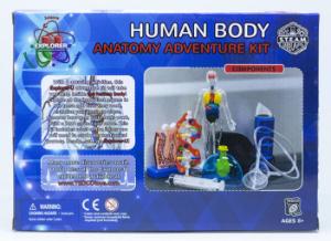 Human Body Adventure Kit