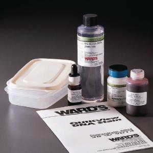 Ward's® Agarose Gel Electrophoresis Lab Pack