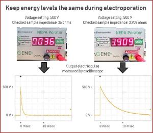 NEPA porator electroporation system