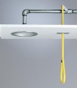 Lifesaver® Ceiling-Mount Emergency Shower, Speakman®