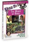 Video DVD biology the minds of birds