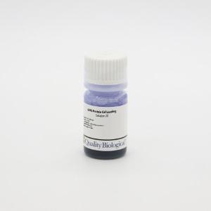 SDS Protein Gel Loading Solution, 2X, Quality Biological