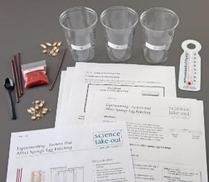 Science Take-Out® Factors That Affect Sponge Egg Hatching