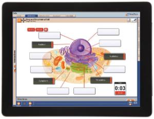 Guide, cells W online lesson