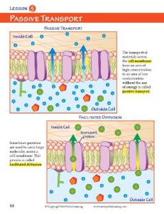 Guide, osmosis W online lesson