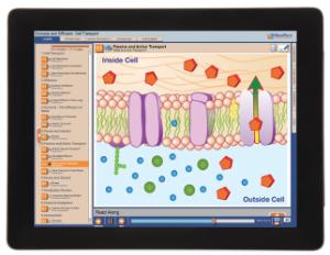 Guide, osmosis W online lesson