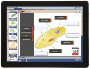 Guide, protists W online lesson