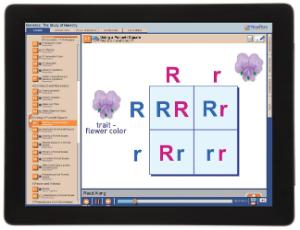 Guide, genetics W online lesson