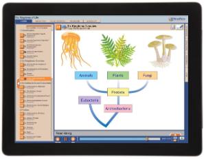 Guide, 6 kingdoms W online lesson