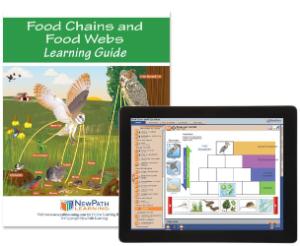 Guide, food webs W online lesson