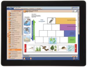 Guide, food webs W online lesson