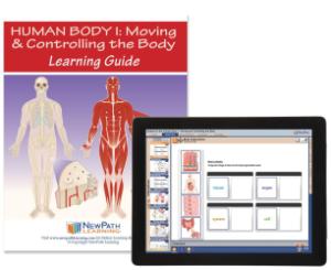 Guide, control body W online lesson