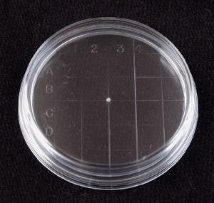 VWR® Disposable Petri Dishes