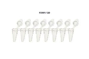 Low-profile tube strips for real time PCR with individually attached flat caps