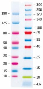 ProSieve™ Protein Markers