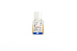 Serum, type AB, human, (HCV, HIV, HbsAG Free), heat inactivated, 100 ml