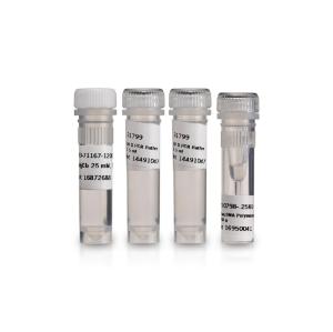 REC TAQ DNA polymerase 250U