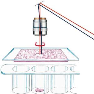 Laser microdissection kit