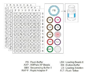 Rapid barcoding kit 96 contents