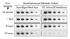 SuperSignal® West Dura Extended Duration Chemiluminescent Substrate, Thermo Scientific