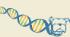 Polymerase/buffer taqdog hot start