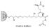 Pierce™ Glutathione Spin Columns, Thermo Scientific