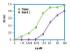 Pierce™ Nickel Coated Plates, Thermo Scientific